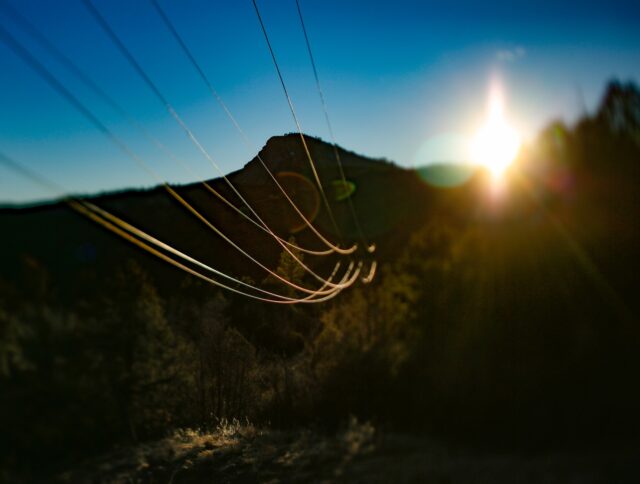 Day 115 - #photoadaychallenge #tiltshift