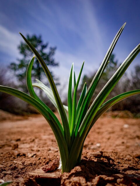 Day 122 - #photoaday