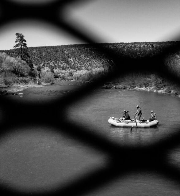 Day 141 - #photoaday