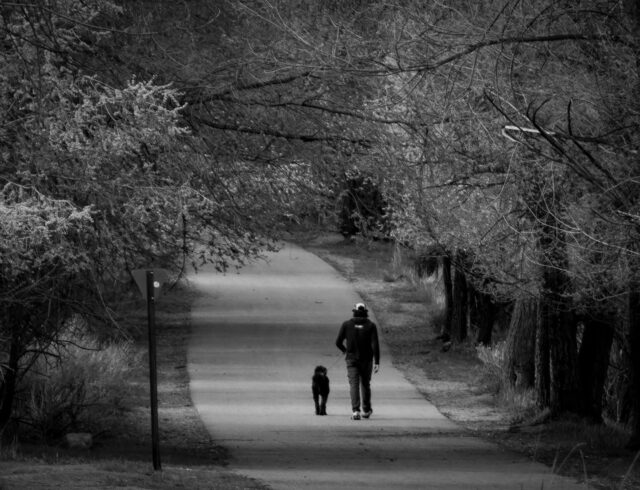 140 days and counting - #photoaday