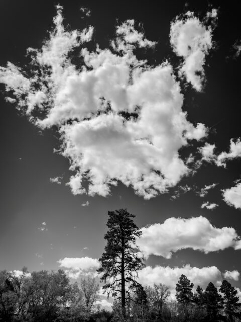 Day 146 - #photoadaychallenge  #bw