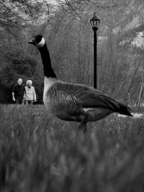 Day 147 - #photoadaychallenge