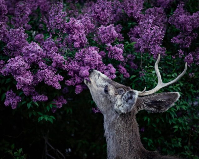 Day 153 - #photoadaychallenge