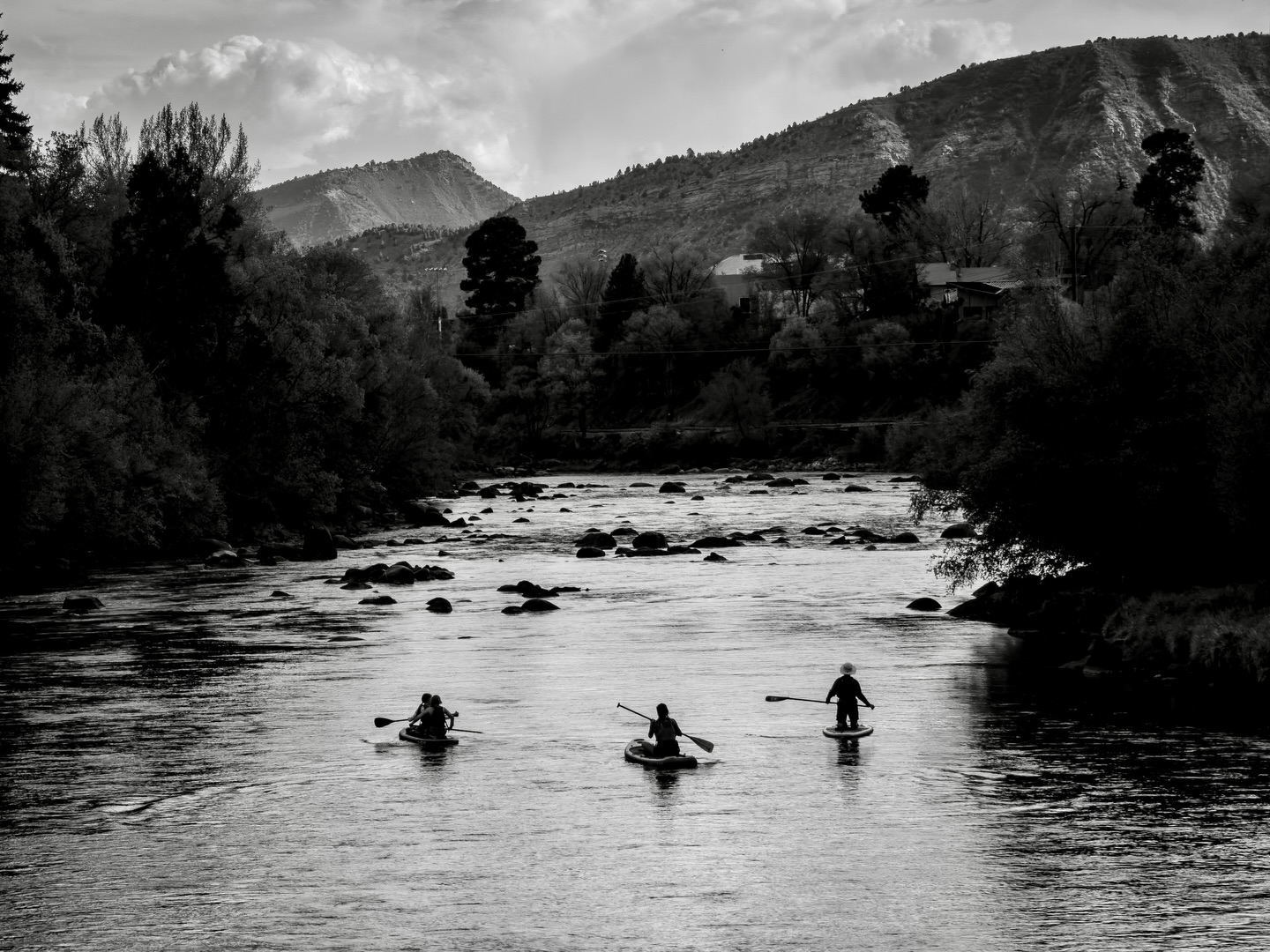 Day 159 - #photoadaychallenge #blackandwhite