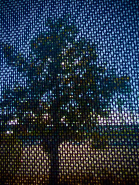 Day 175 - #photoadaychallenge