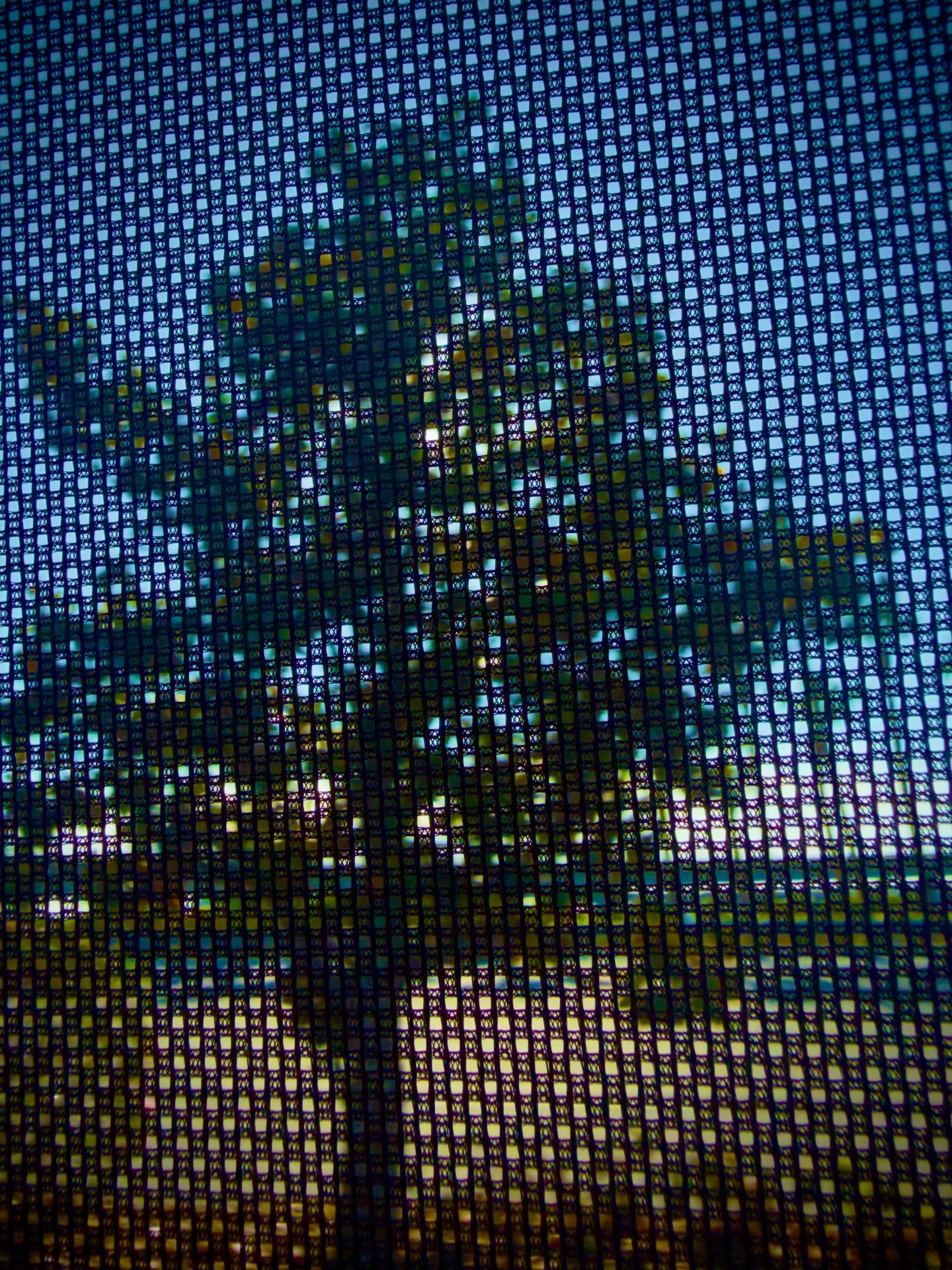Day 175 - #photoadaychallenge