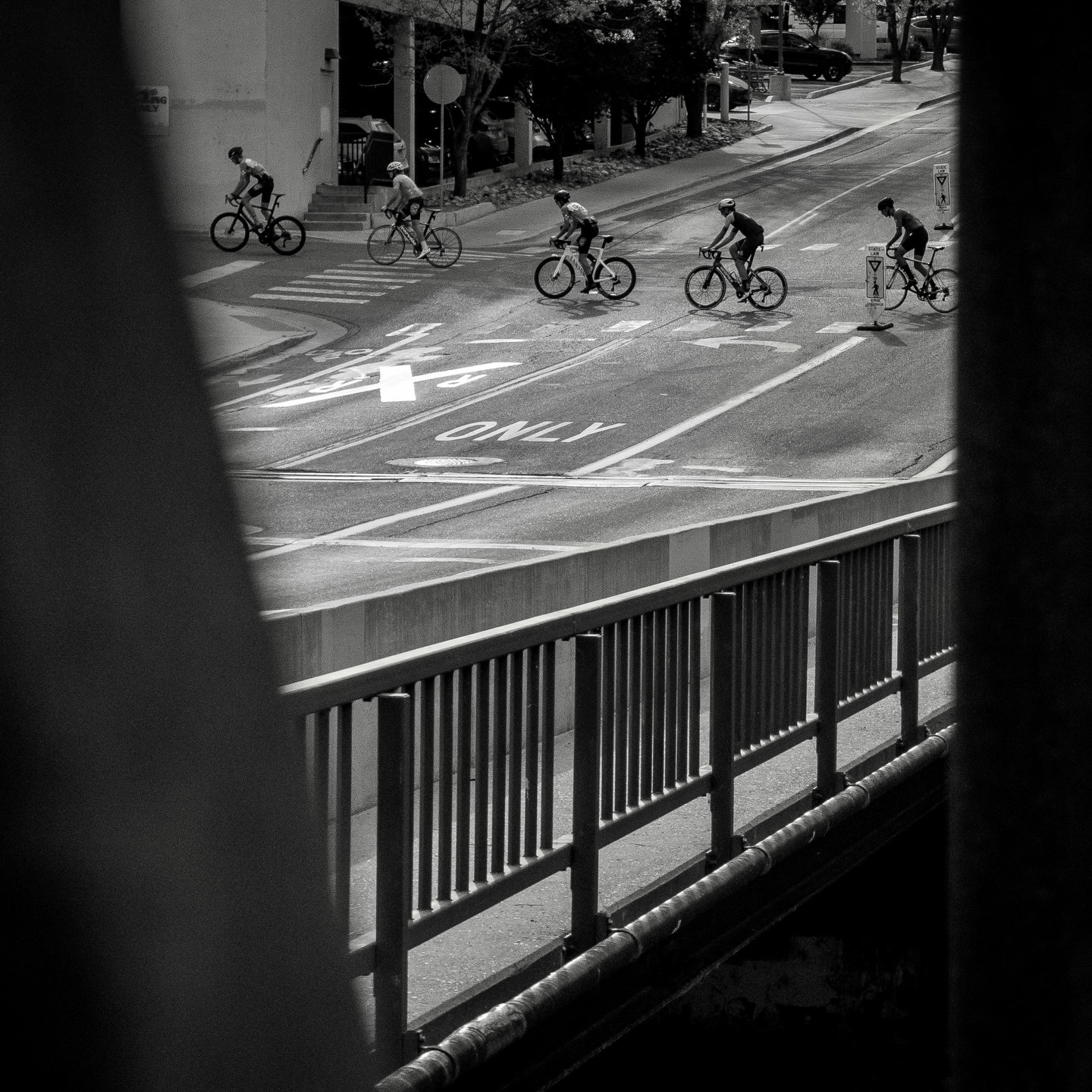 Day 184 - #photoadaychallenge #bw