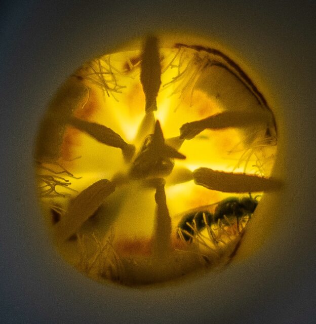 Day 182 - #photoadaychallenge