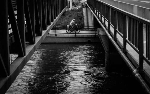 Day 185 - #photoaday