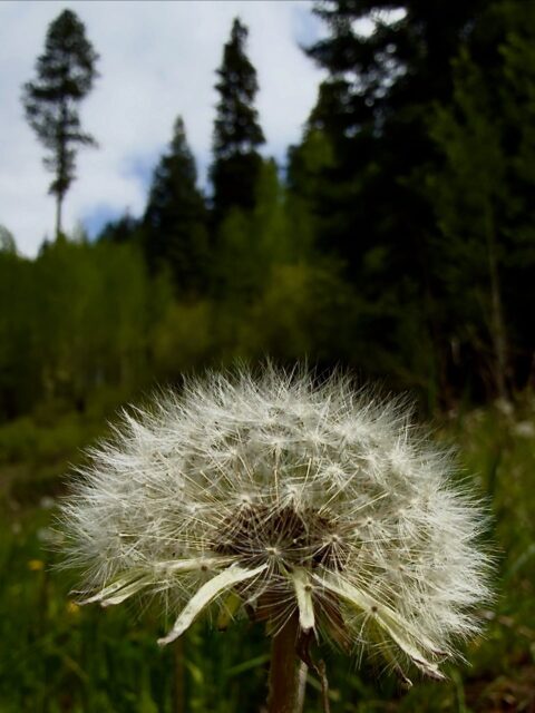 Day 191 - #photoadaychallenge