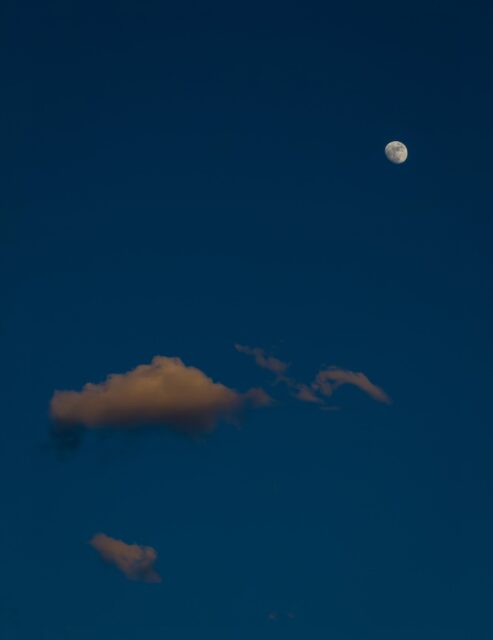 Day 195 - #photoadaychallenge