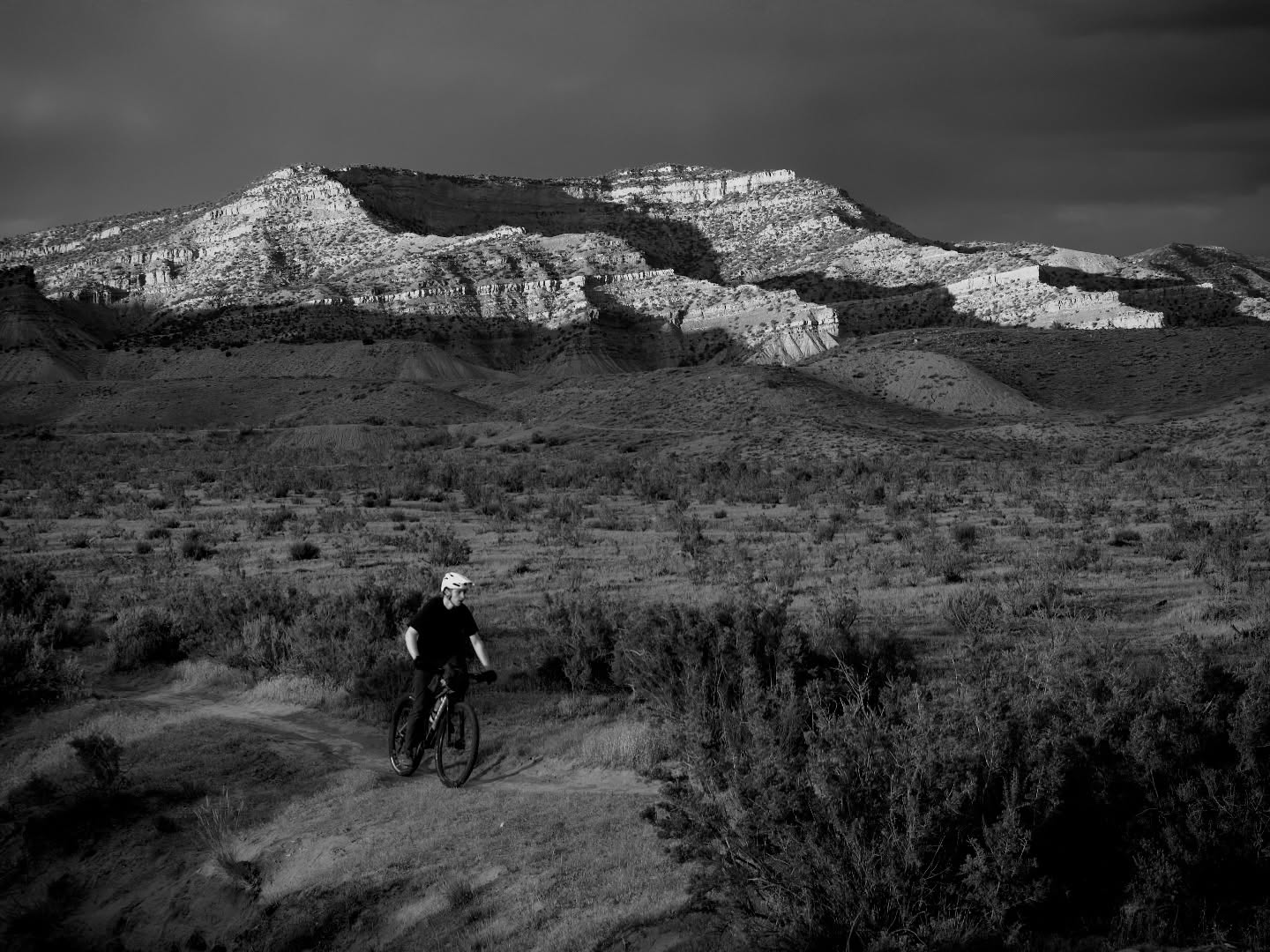 Day 198 - #photoadaychallenge