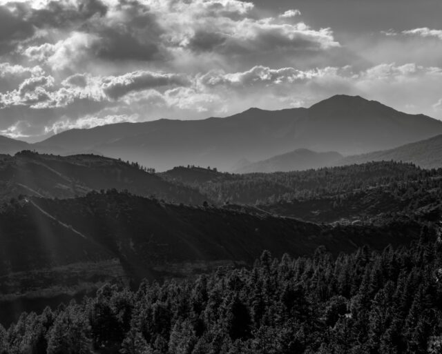 Day 202 - #photoadaychallenge #bwphoto