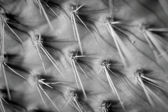 Day #215 - #photoadaychallenge  Desert textures, setting sun and a great hiking crew.
