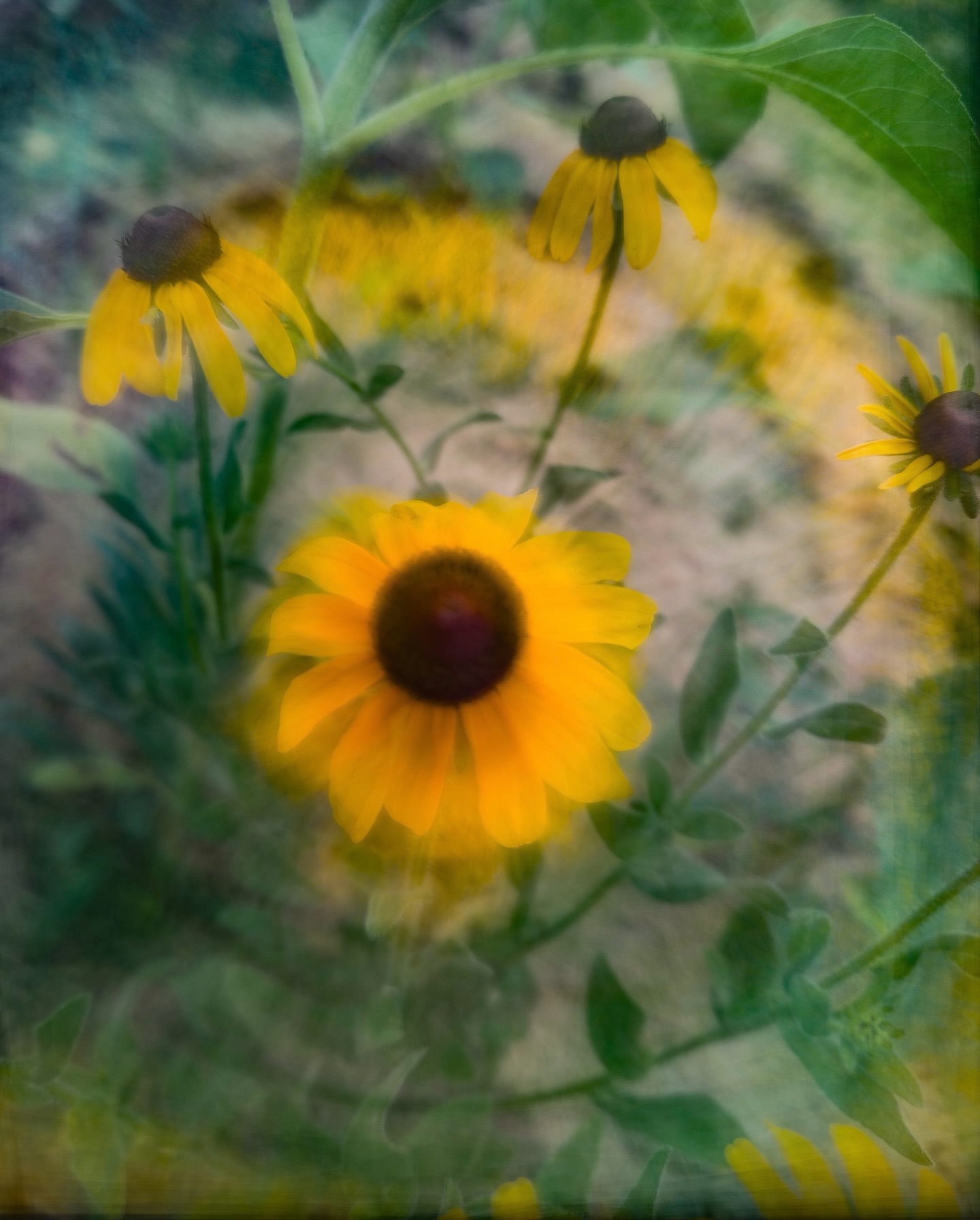 Day 235 - #photoadaychallenge #longexposure