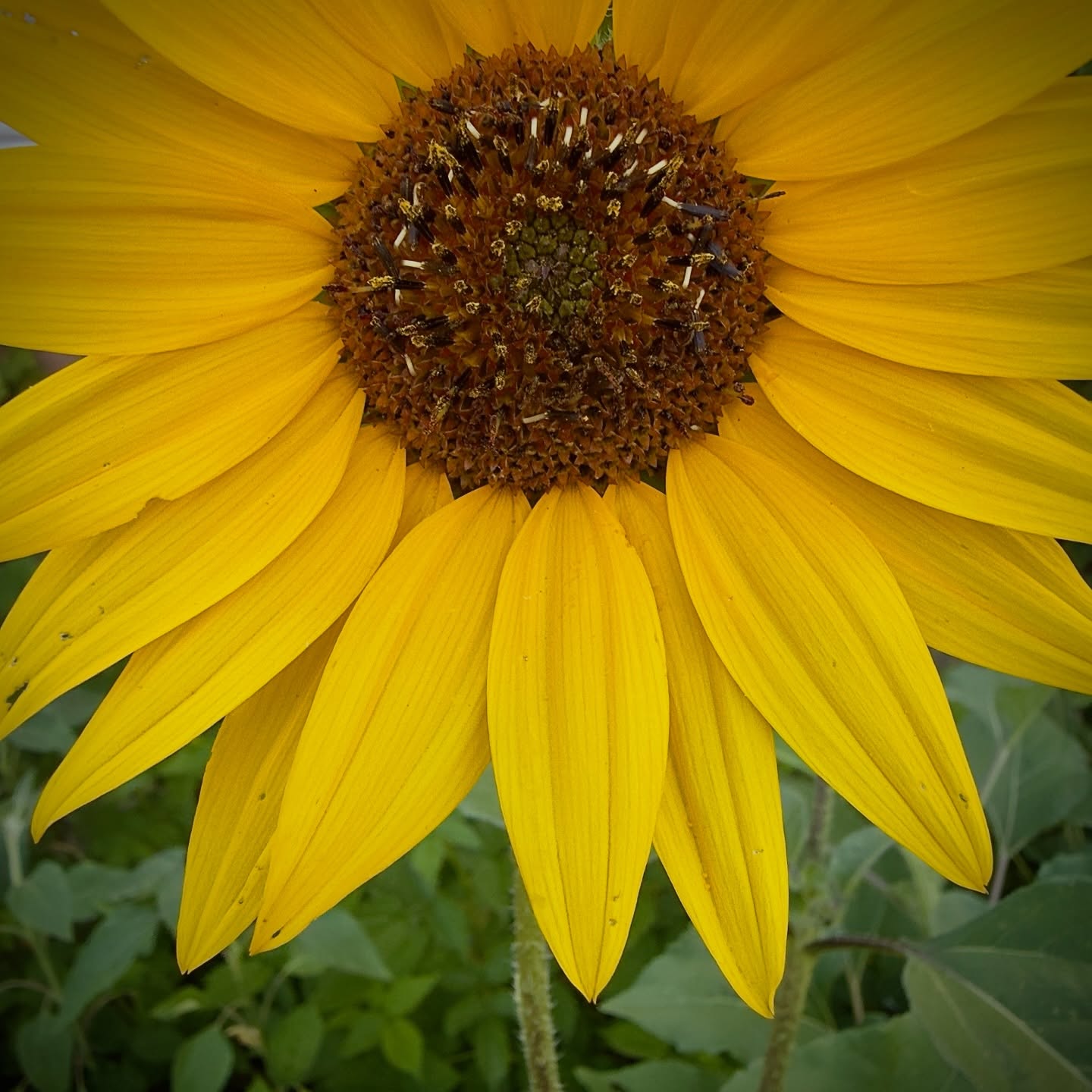 Day 234 - #photoadaychallenge