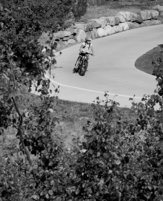 Day 237 - #photoadaychallenge