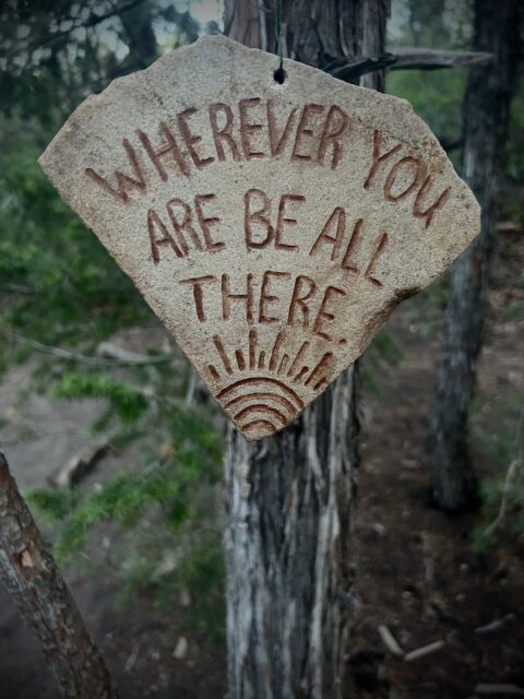 Day 238 - #photoadaychallenge