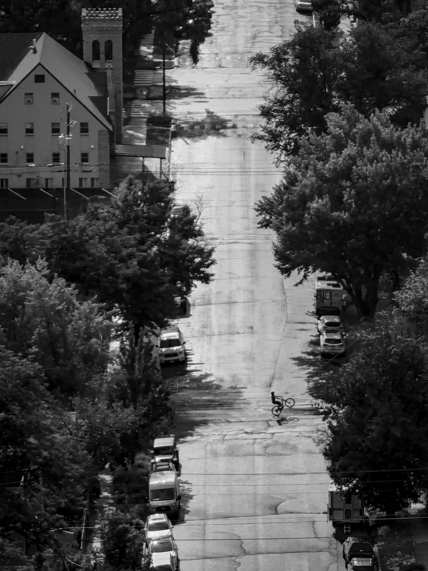 Day 244 - #photoaday #wheelie