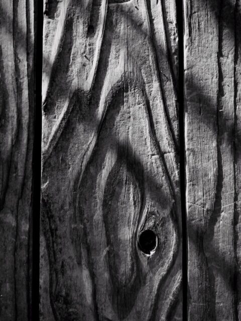 Day 252 - #photoaday
