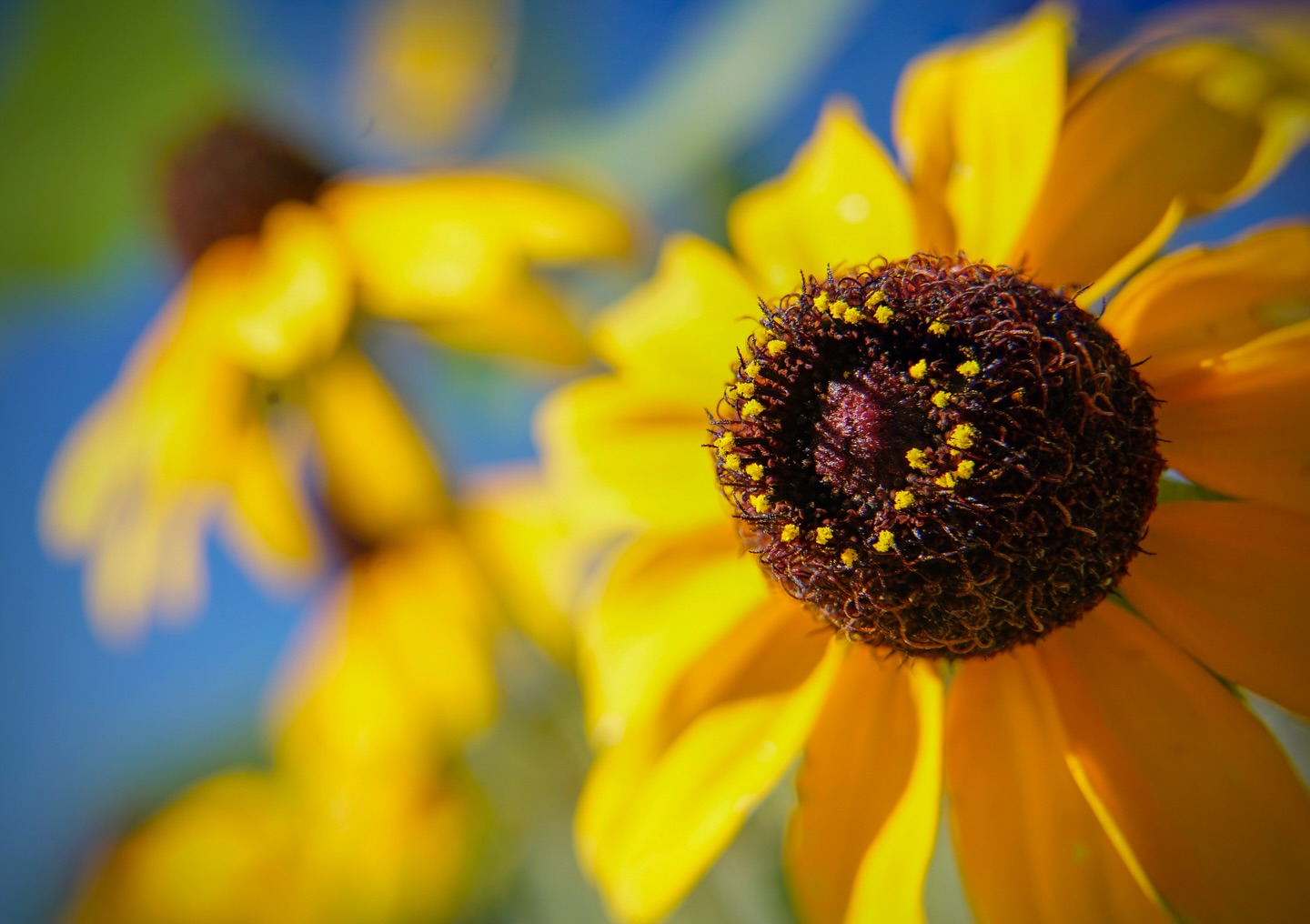 Day 253 - #photoadaychallenge