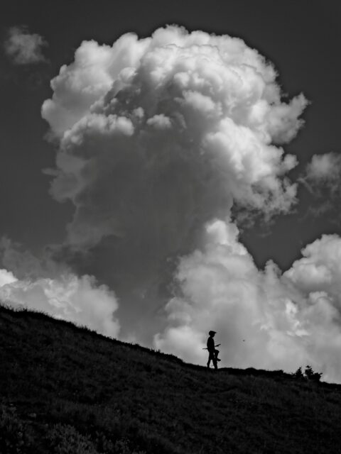 Day 254 - #photoadaychallenge