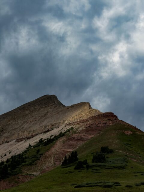 Day 255 - #photoadaychallenge