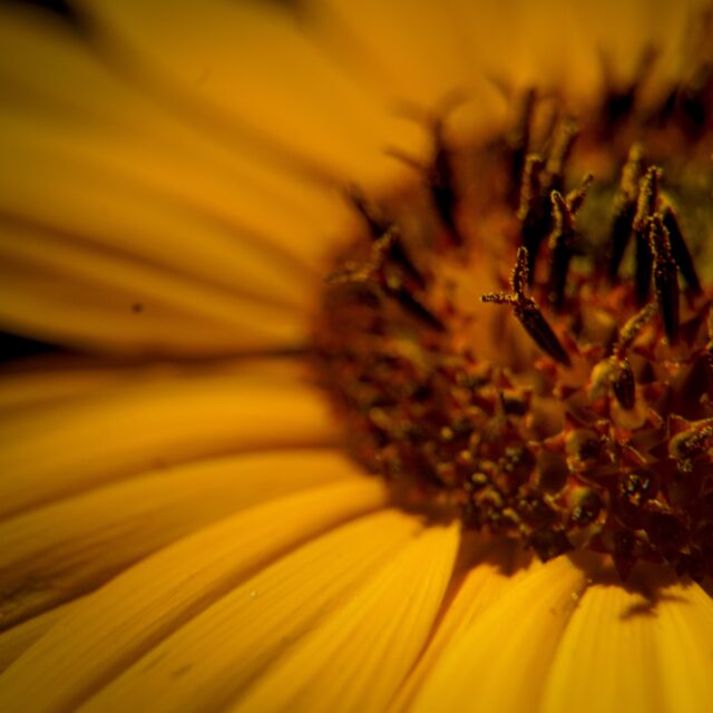 Day 263 - #photoaday
