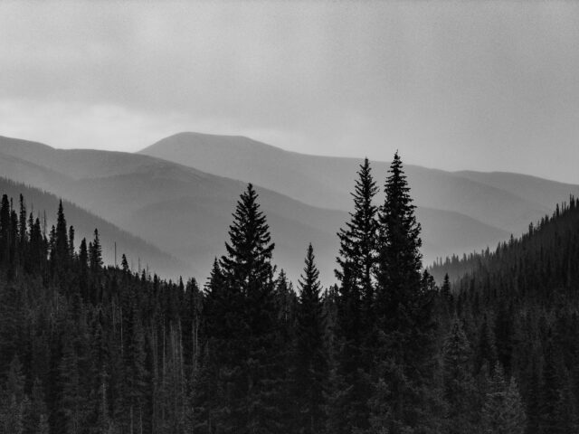 Day 273 - #photoaday