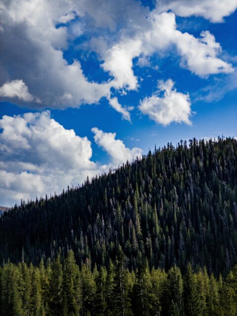Day 275 - #photoaday