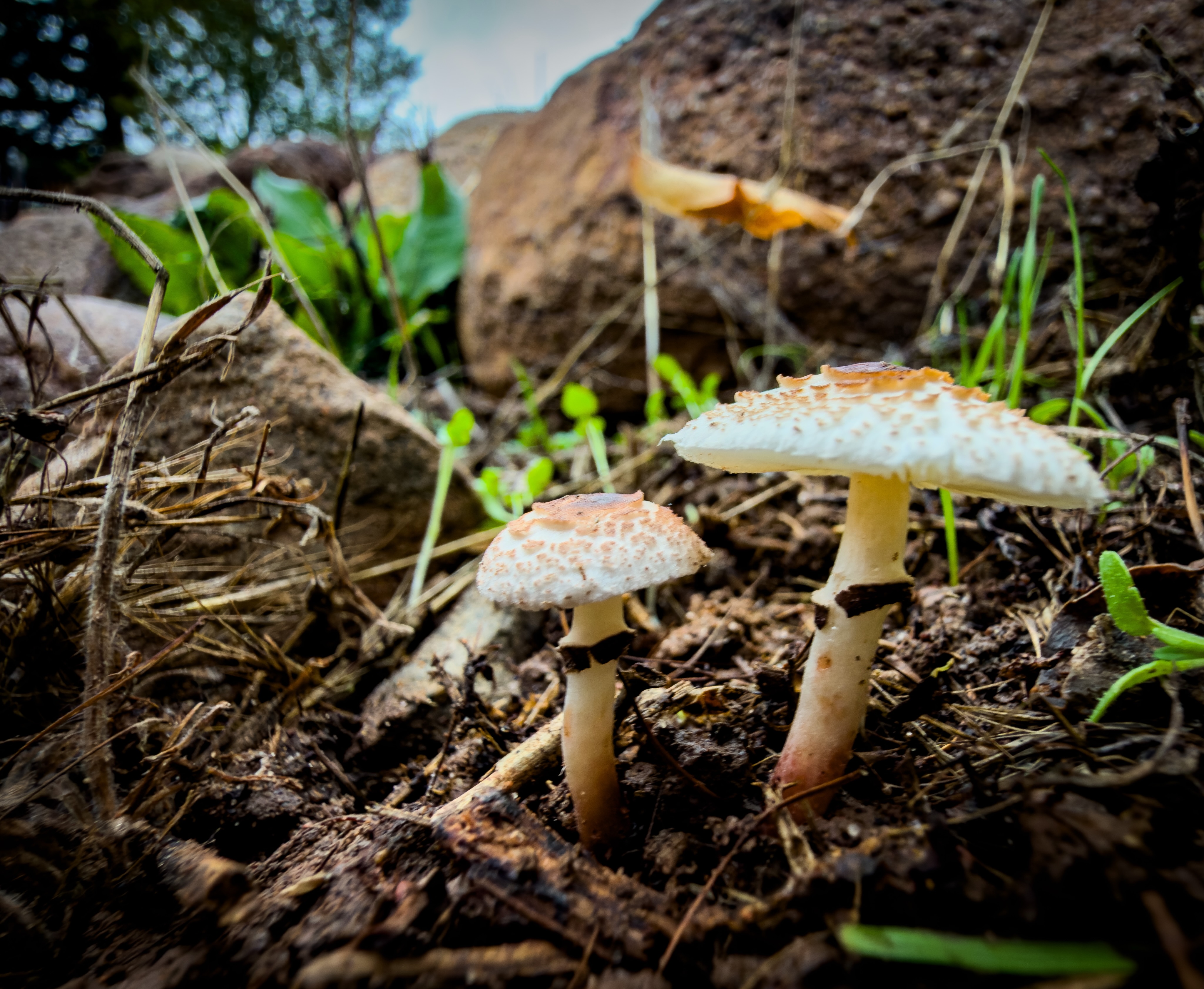 Day 312 - #photoaday