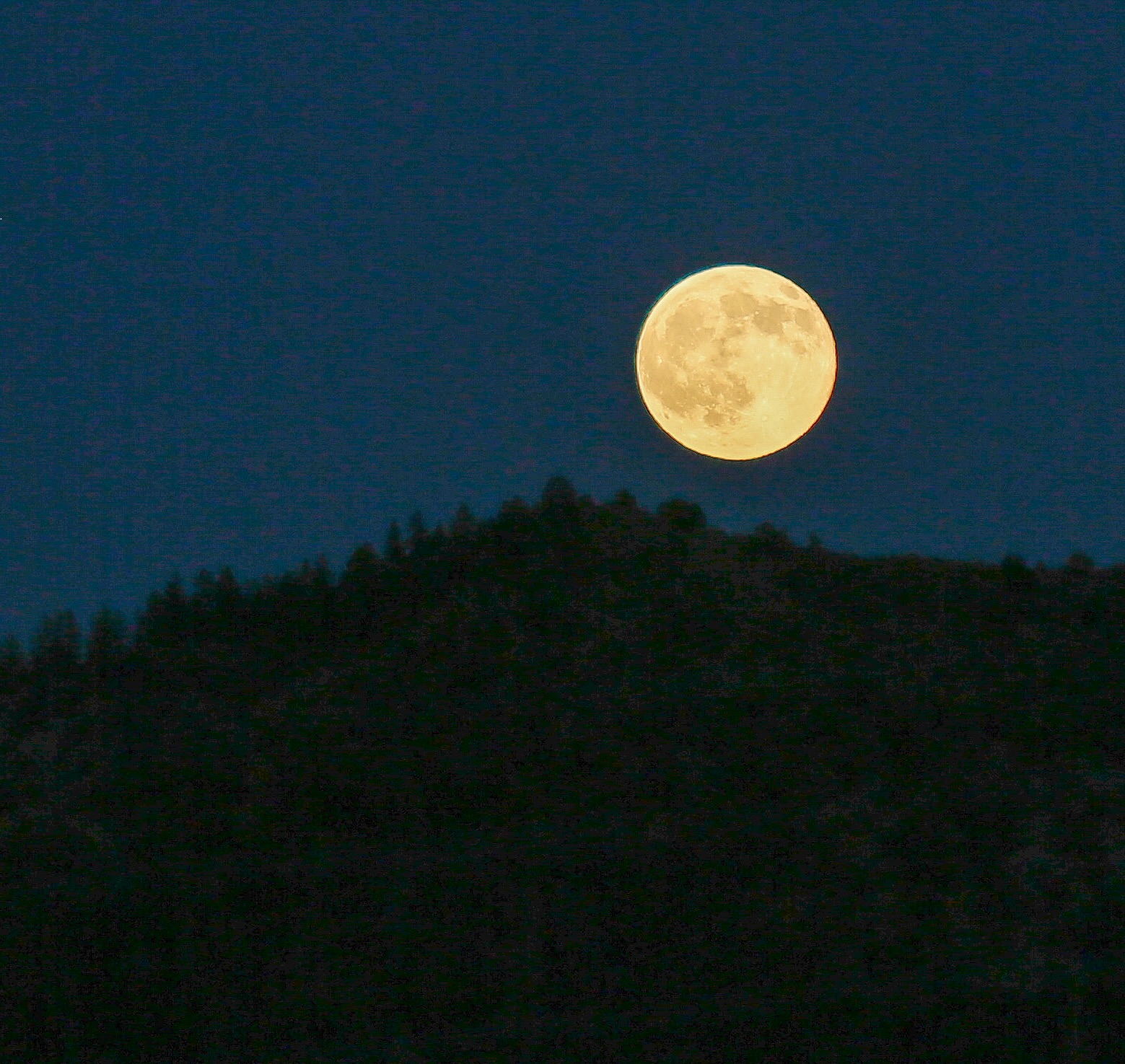Day 315 - #photoaday harvest moon