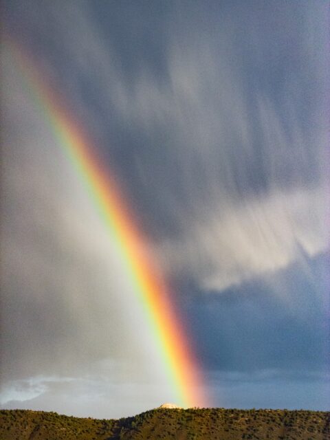 Day 326 - #photoaday