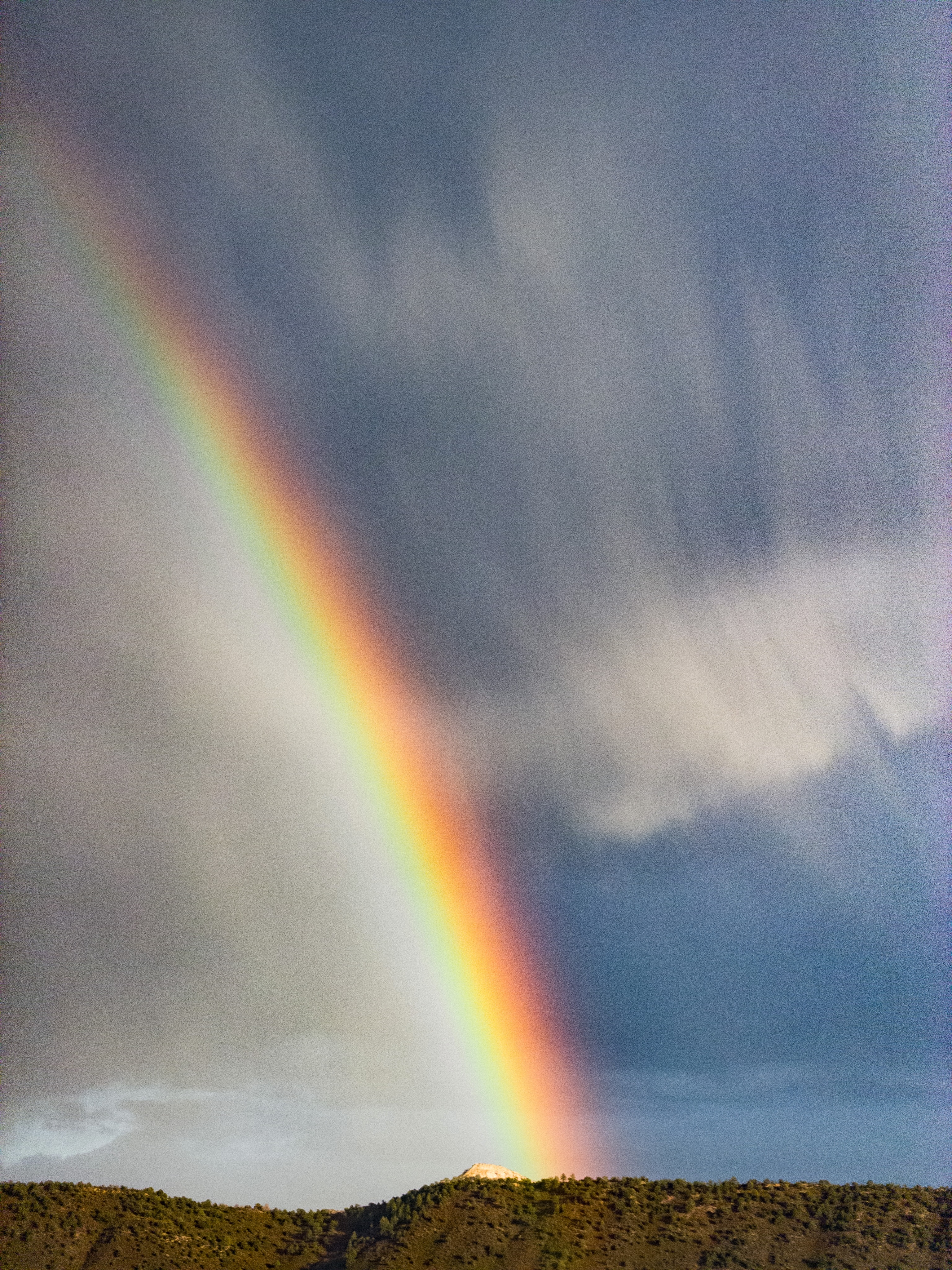 Day 326 - #photoaday