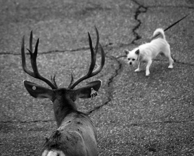 Day 331 - #photoaday