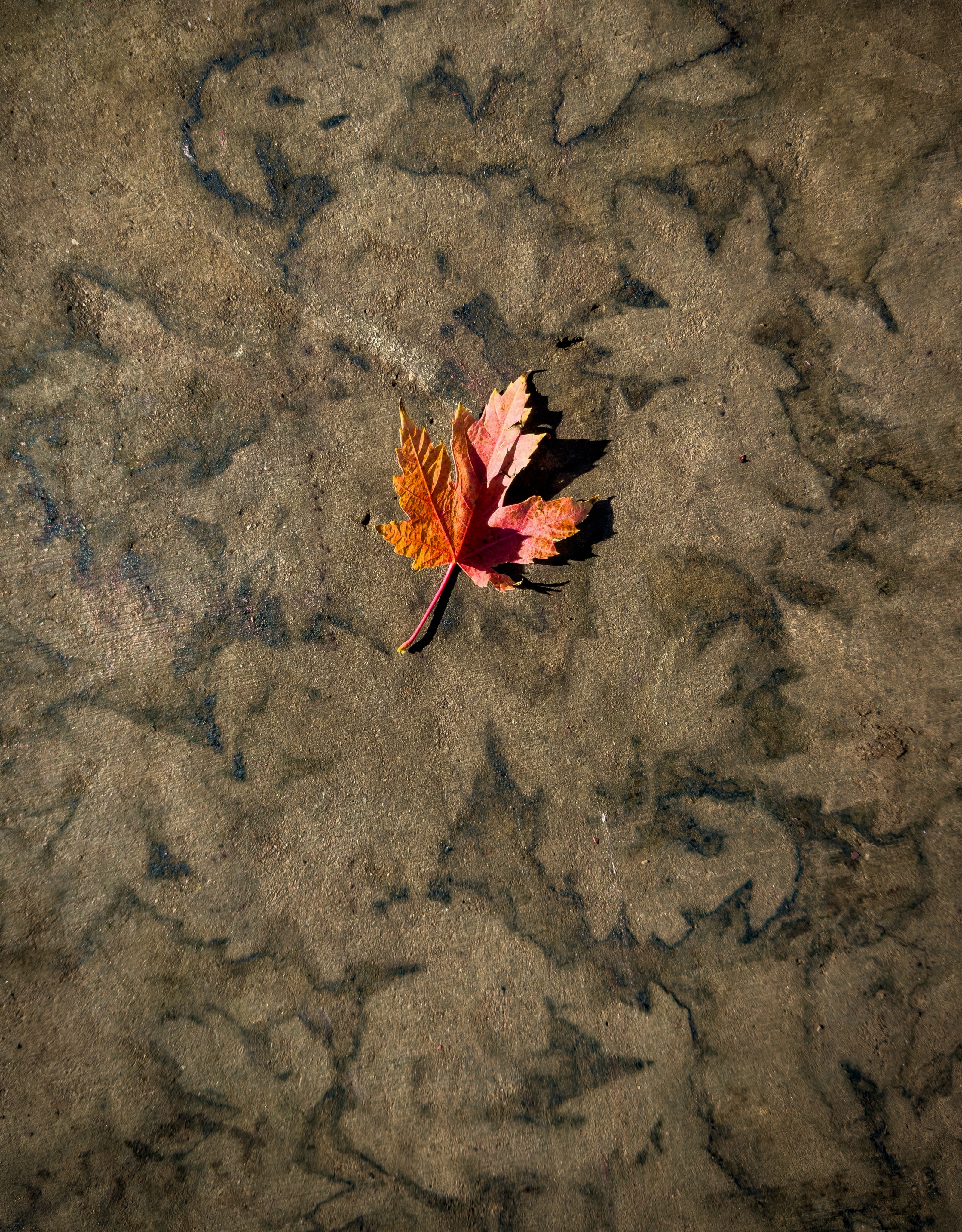 Day 349/365 - #photoaday
