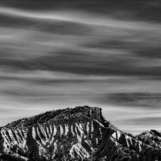 Day 101 - #photoaday