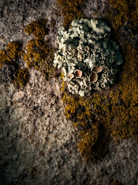 Day 106 - #photoaday